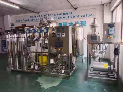 Durchlauf 500LPH eins RO- und EDI-System für PW-Wasser